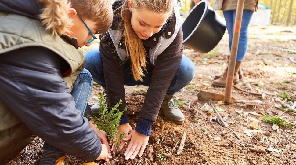 Zwei Jugendliche pflanzen einen Baum