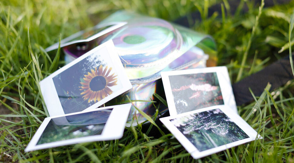 Polaroid-Fotos, die auf einer Wiese liegen