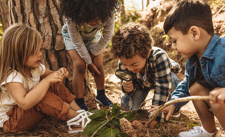 Vier Kinder untersuchen etwas mit der Lupe im Wald