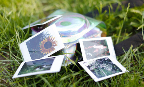 Polaroid-Fotos, die auf einer Wiese liegen